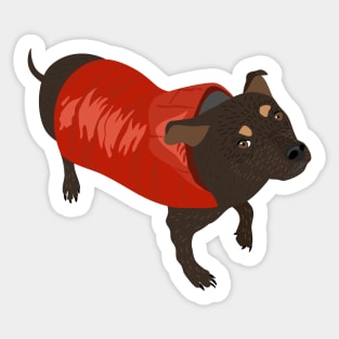 Brown Dog in a Red Puffer Jacket Sticker